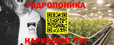 наркотики Кингисепп