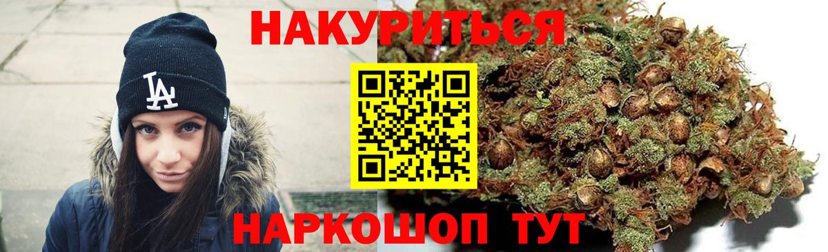 Каннабис OG Kush Чернушка